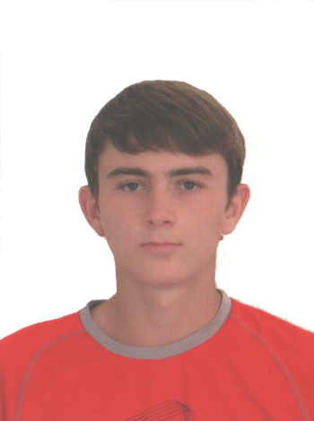 фрилансер Mikhailov