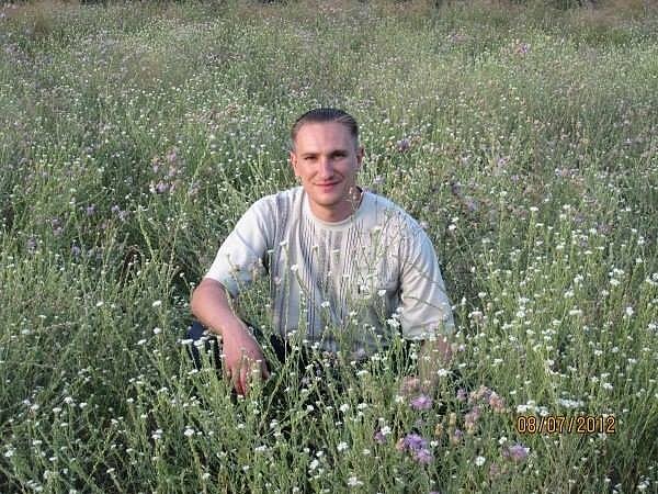 фрилансер Владимир