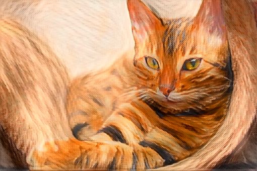 фрилансер Nimble_Cat