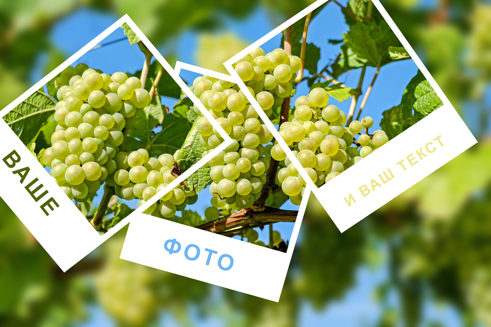 фрилансер Photowork