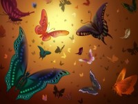Работы Starova77