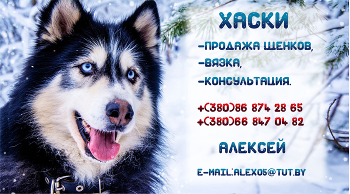 Работы kirito3993