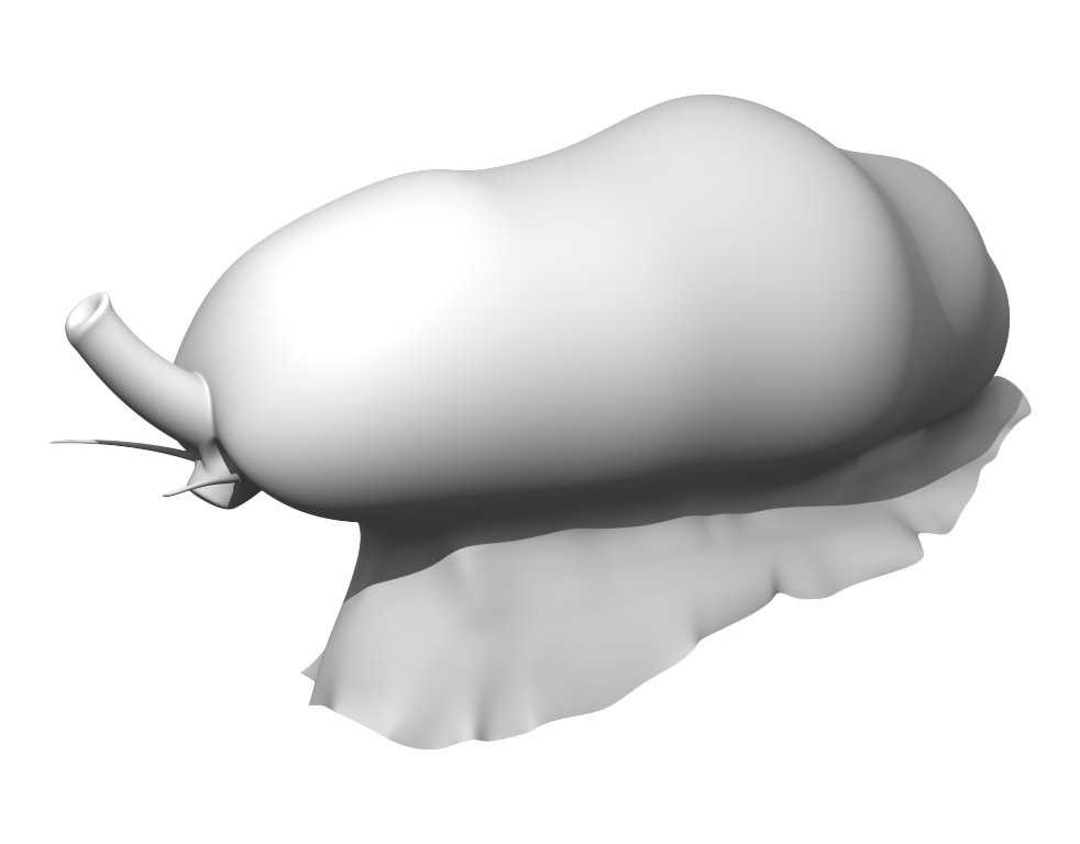 Работы Modeler3D