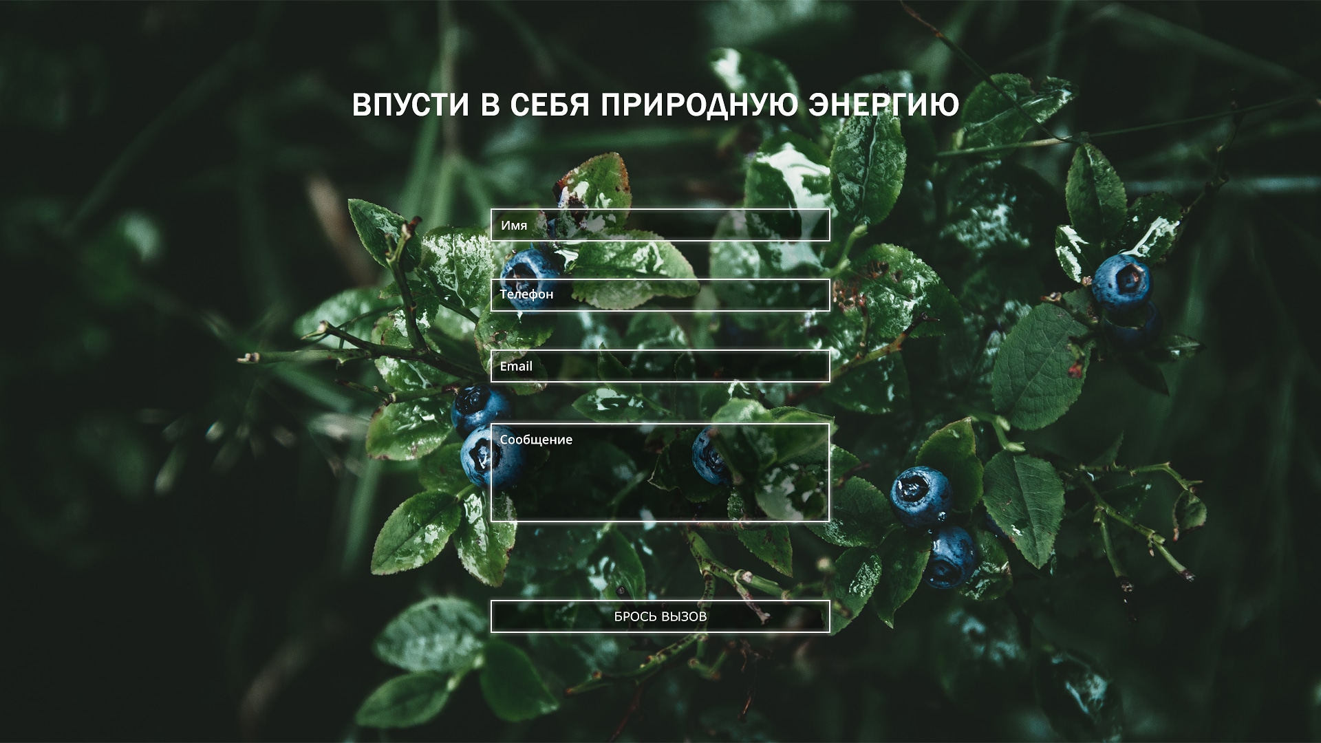 Работы __Vagner__