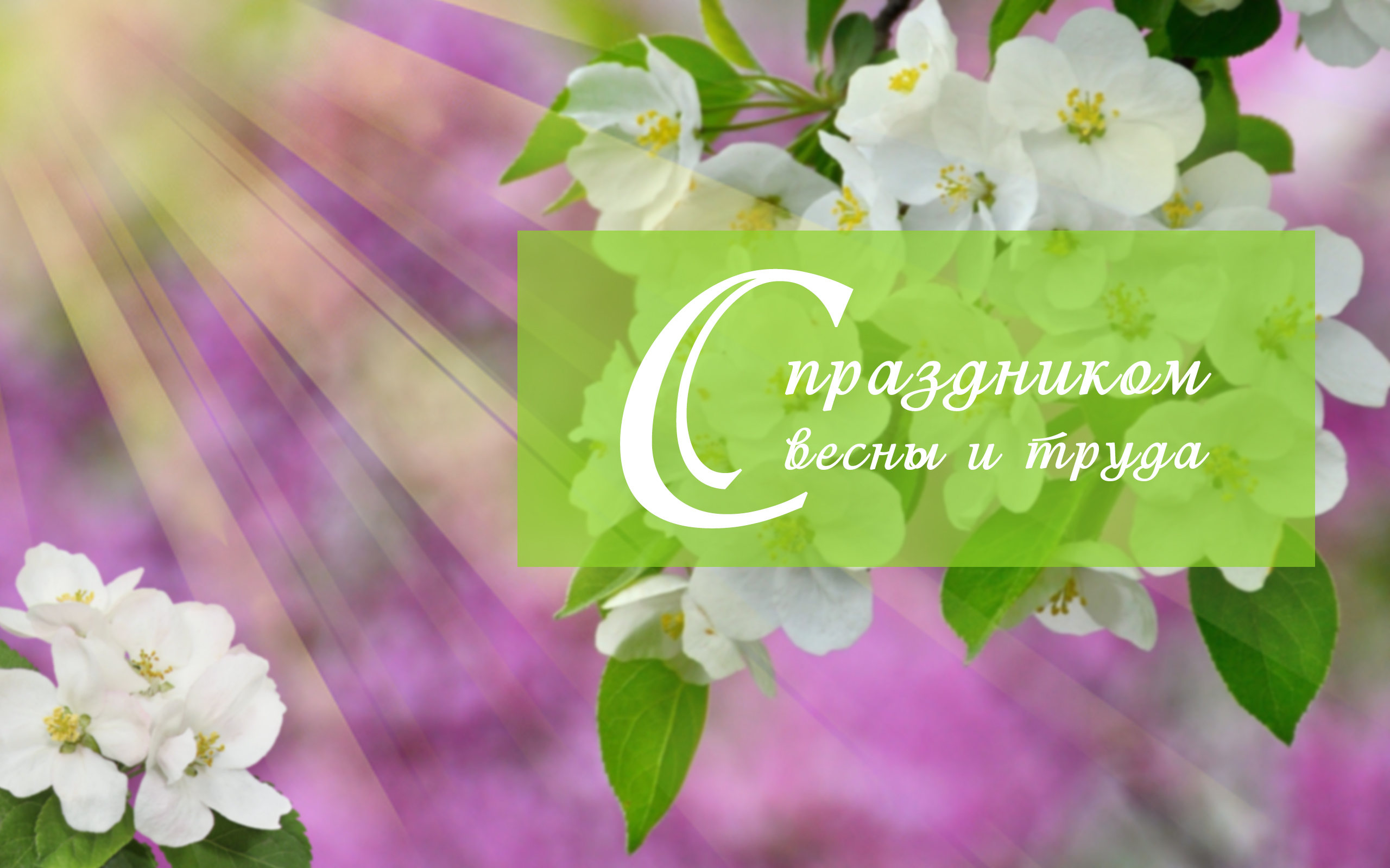 Работы Наталья