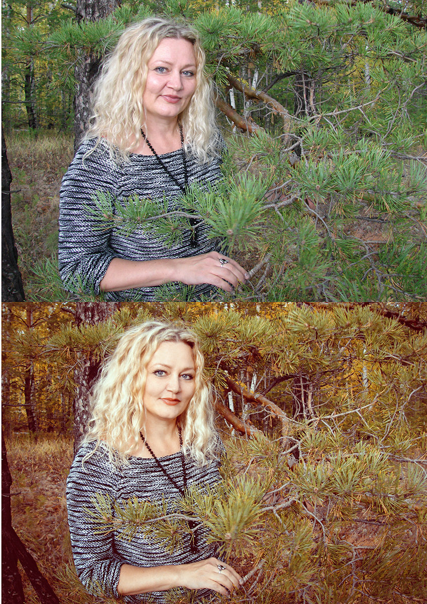 Работы Elena41