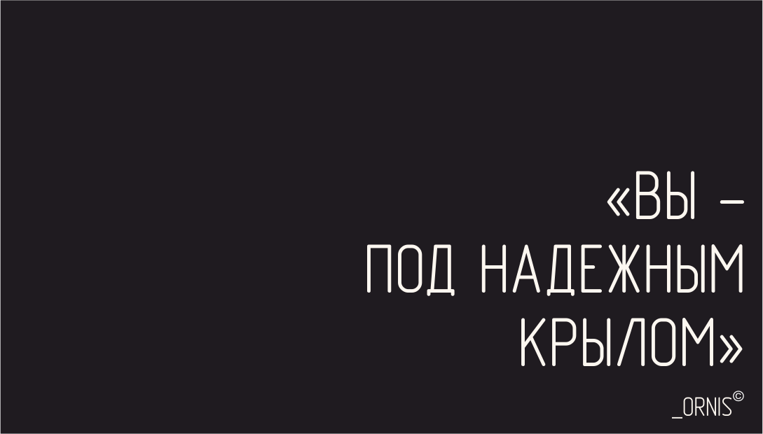 Работы tatiana.b